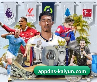 开云体育 APP（kaiyun）